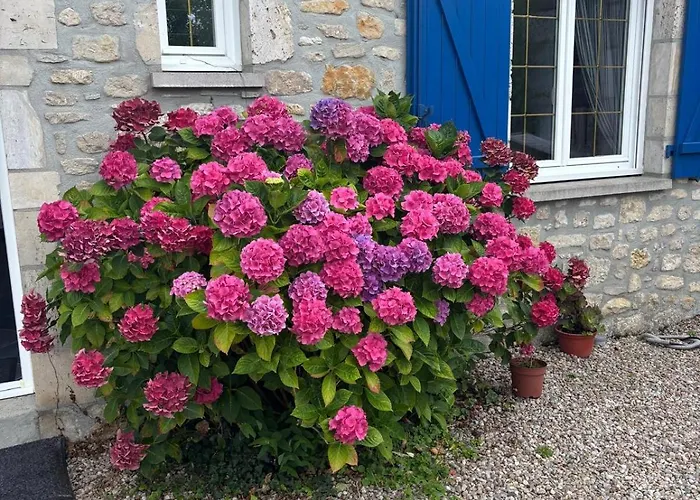 Prázdninový dům Le Charme Du Cotentin, Votre Havre De Paix Pour Les *